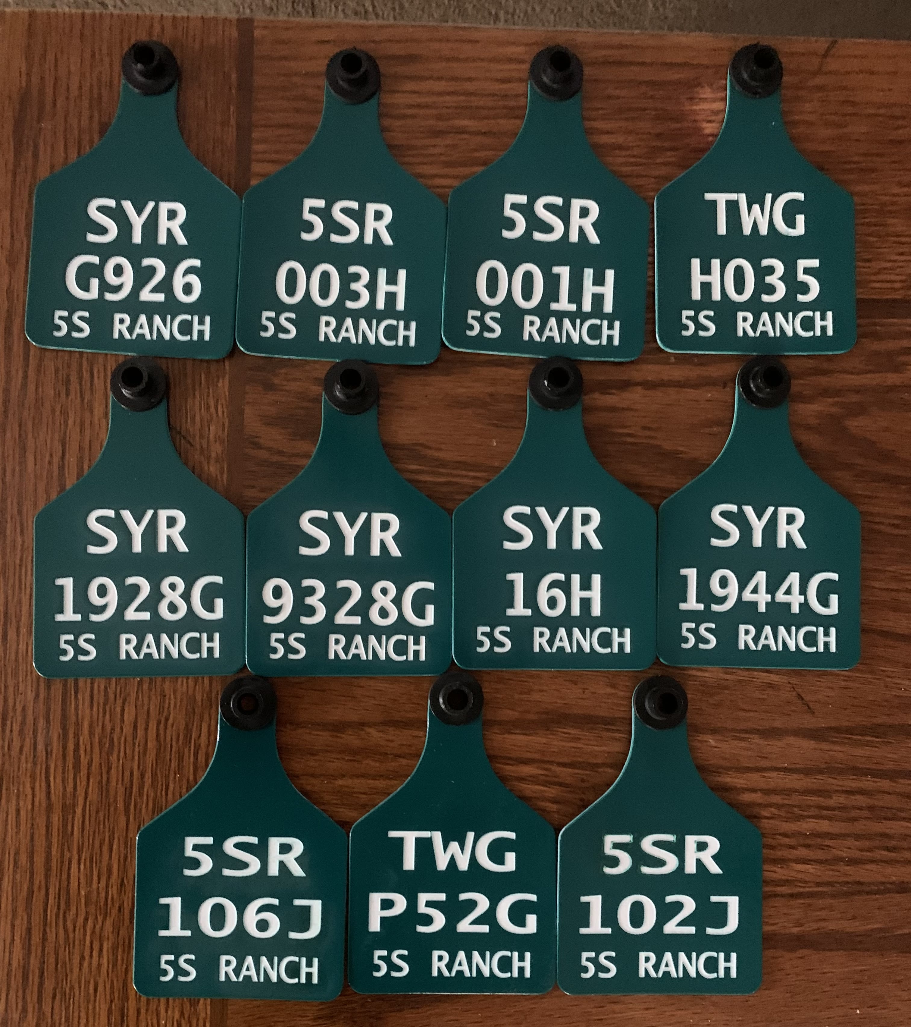 Cow + Cattle Tag Theme Milestone Markers – Script and Grain