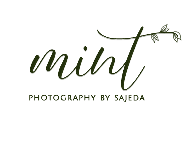 Mint Studios