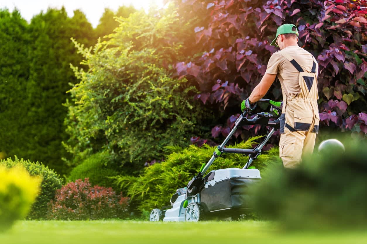 Lawn Mowing Lawn Care Bootstrap Lawn Care Services Lawn