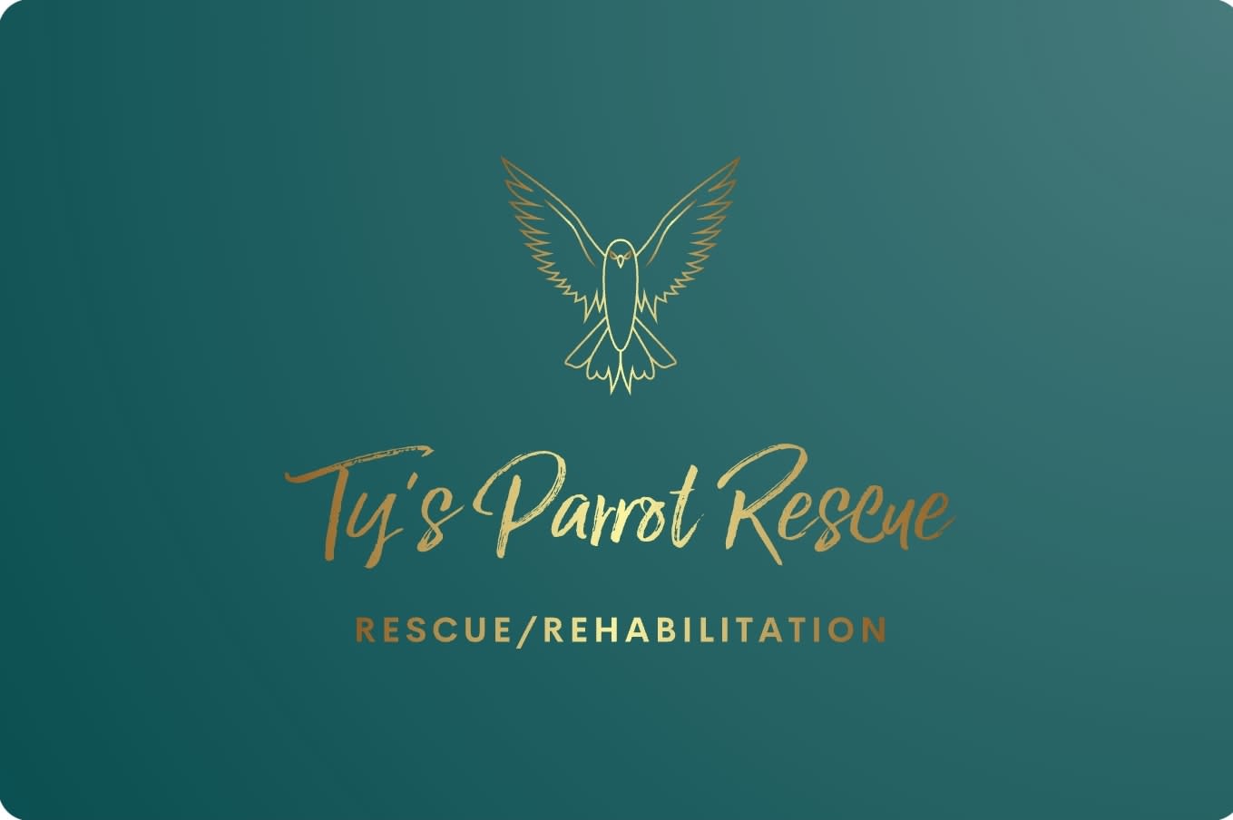 Ty's Parrot Rescue