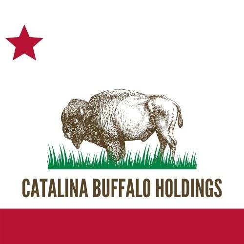 Catalina Buffalo Holdings Co.