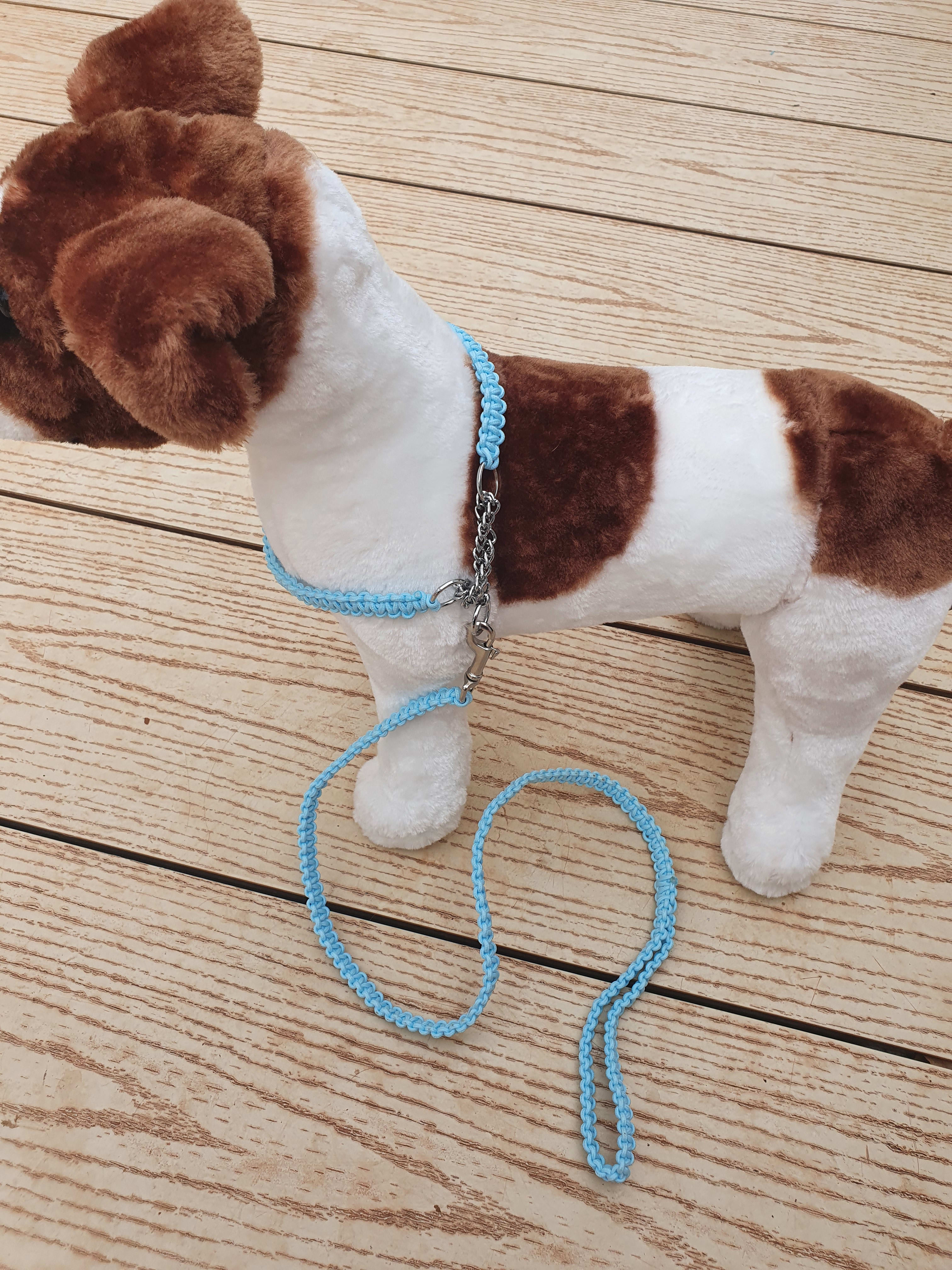 pale blue show lead and collar set show leads D&S Bespoke Dog Coats