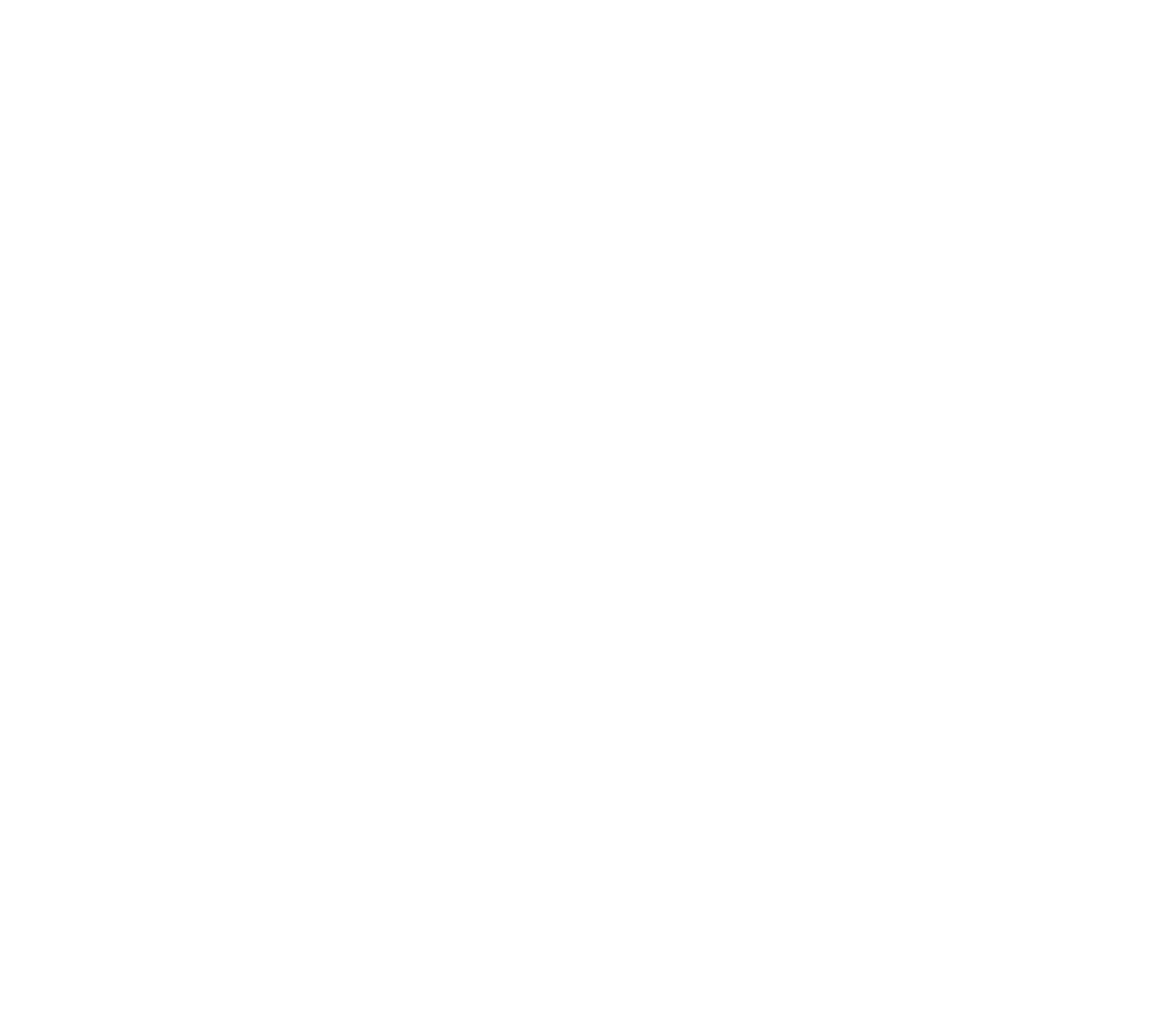 Spartan IT Solution LLC