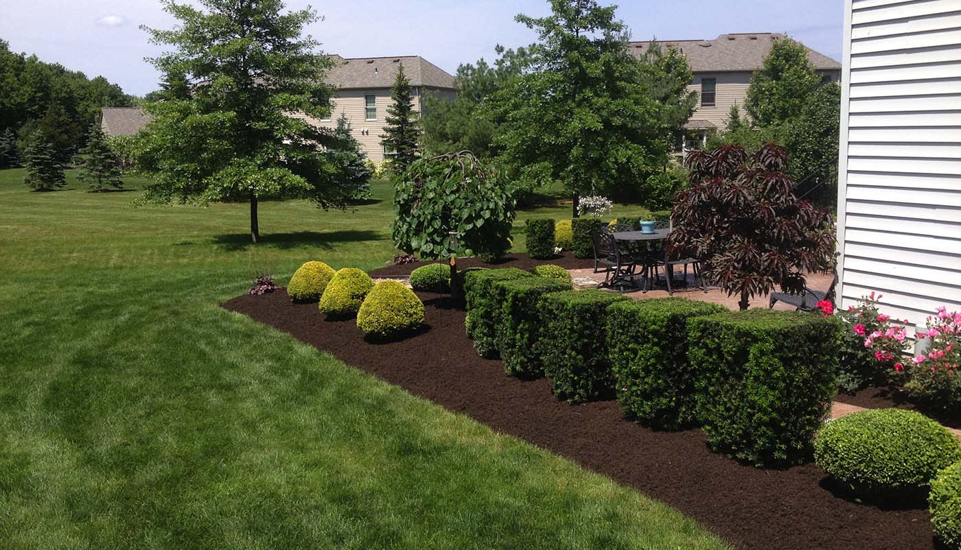 Shrub & Hedge Trimming Landscape Maintenance Bootstrap Lawn Care
