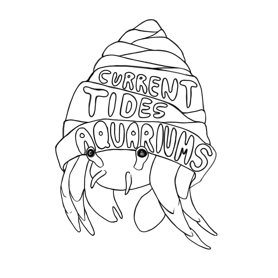 Current Tides Aquariums