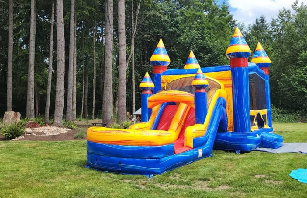 Bounce With Us | Bounce House Rentals | Lake Stevens