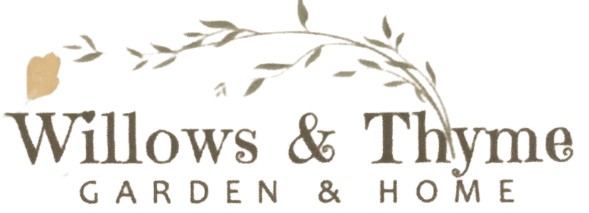 Willows & Thyme