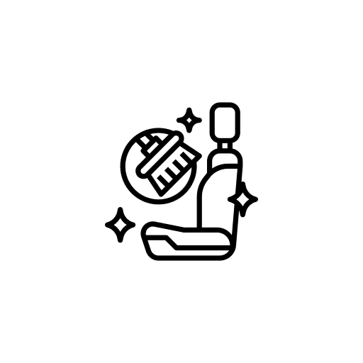 Extra Pet Hair or Sand Removal Auto Detailing Single Services Red