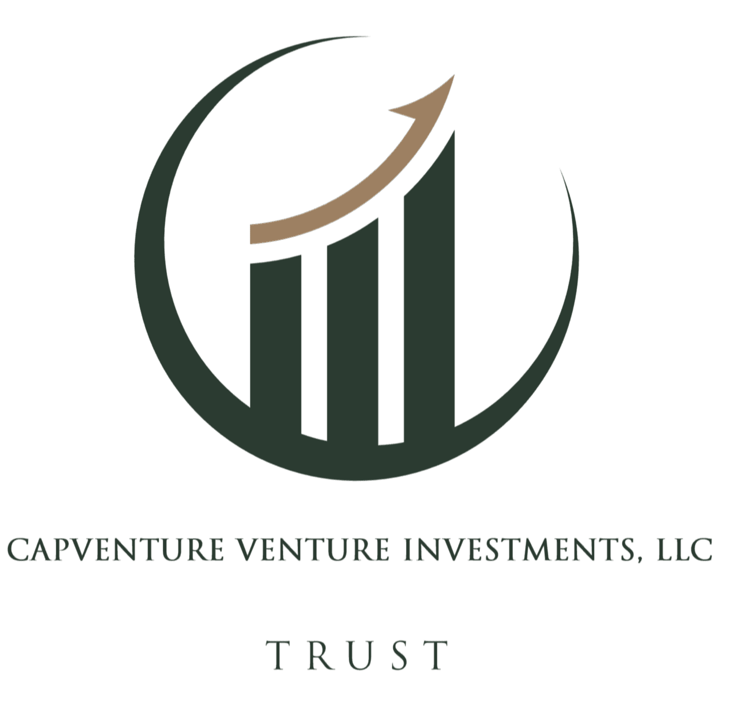 Capital Venture Investments, LLC