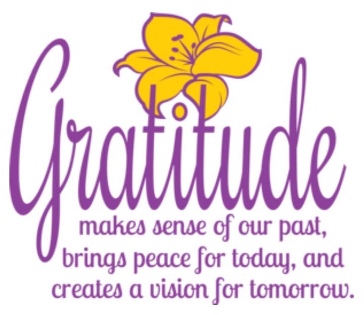 Vision of Gratitude