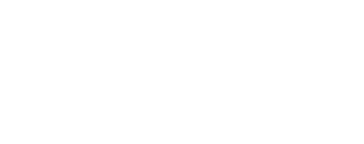 Mission Falafel
