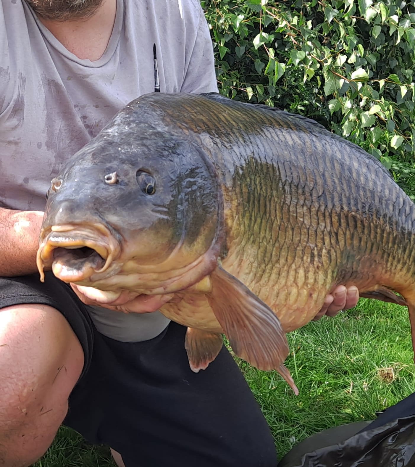 Fishing Bait Scientific Baits in Stoke on Trent