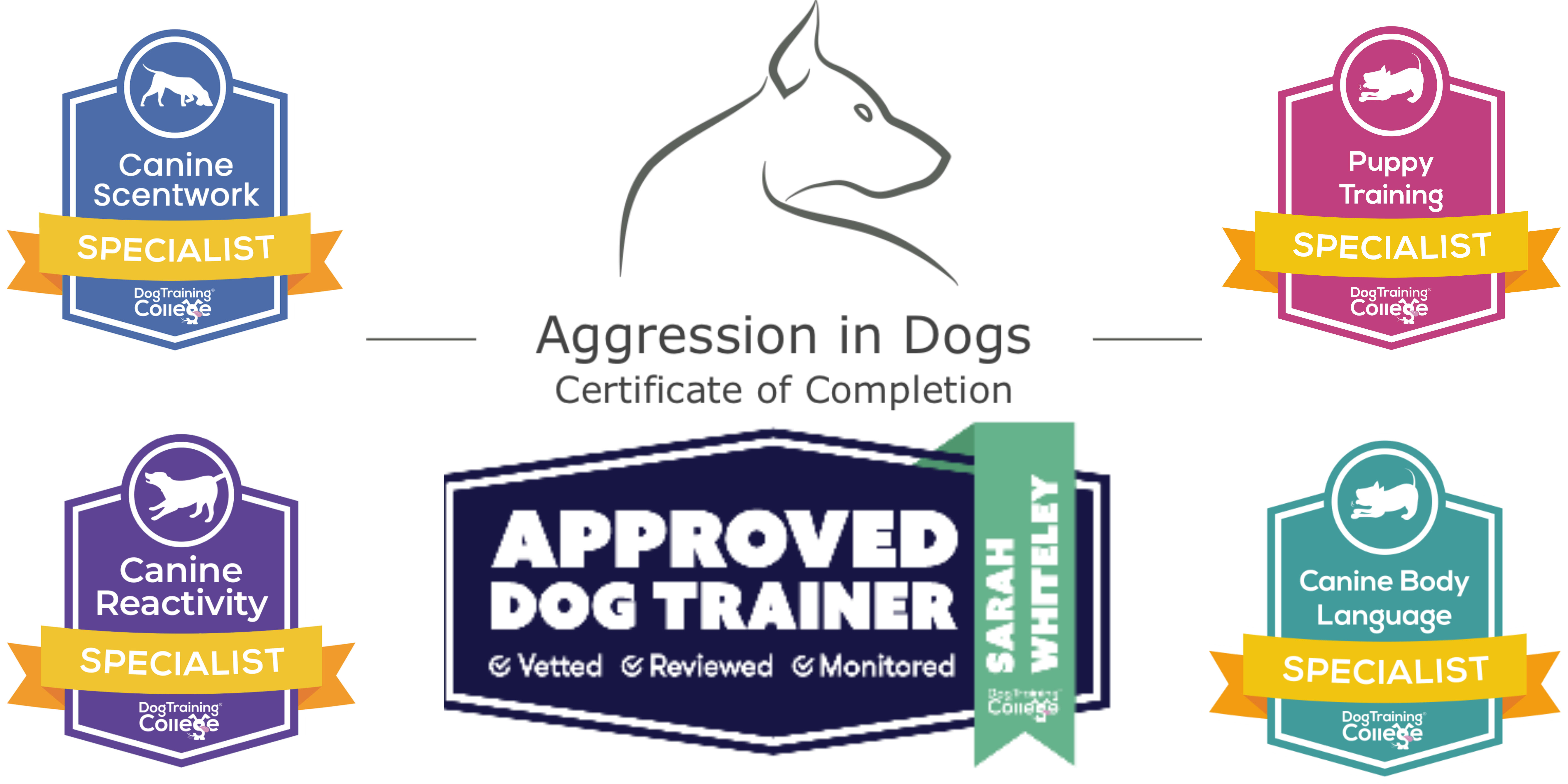 Boots and Paws Dog Training | Dog Training in Nottinghamshire