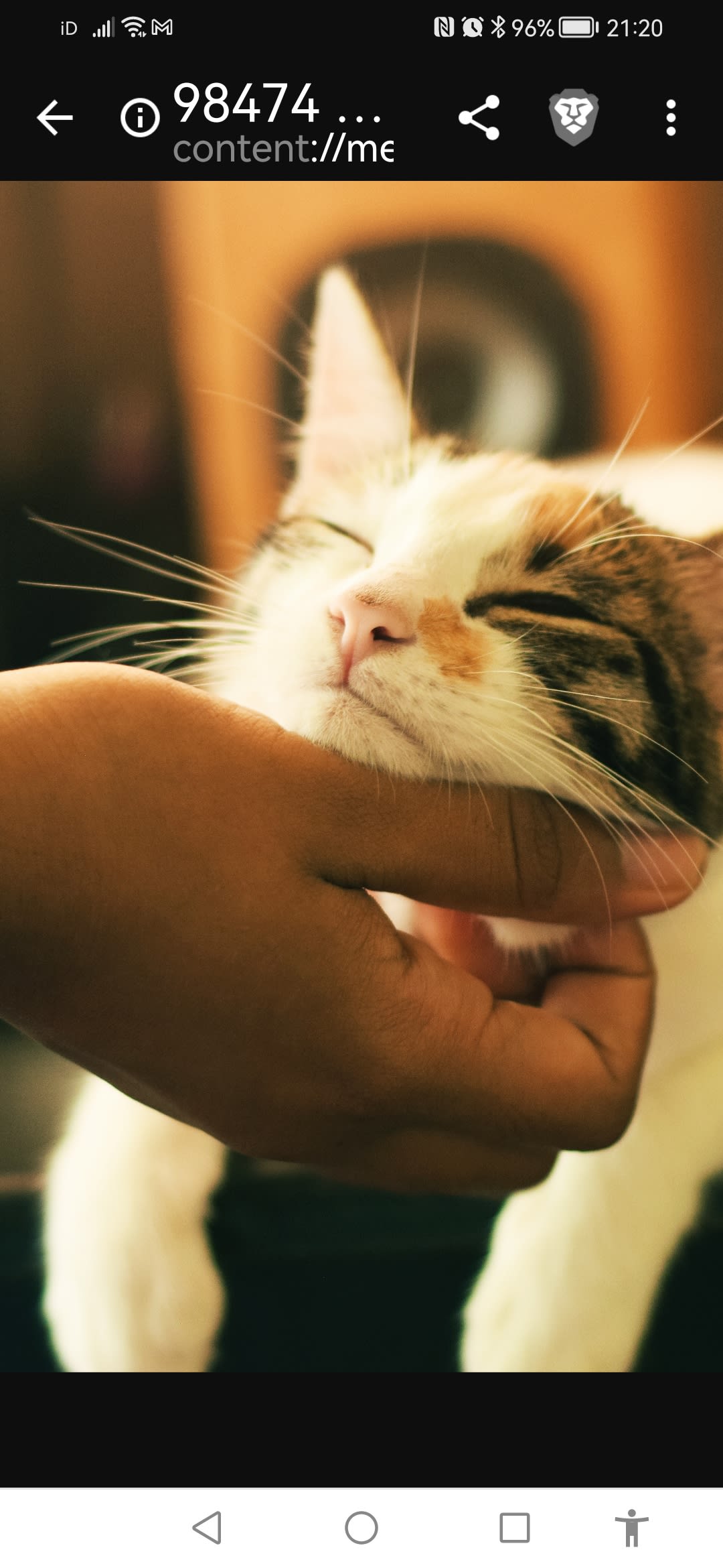 Fur Babies UK Dog Walker in Dunfermline