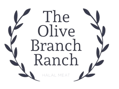 The Olive Branch Ranch