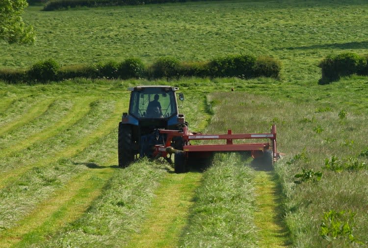 CountrySide Custom Land Clearing in Kentucky, Olive Hill
