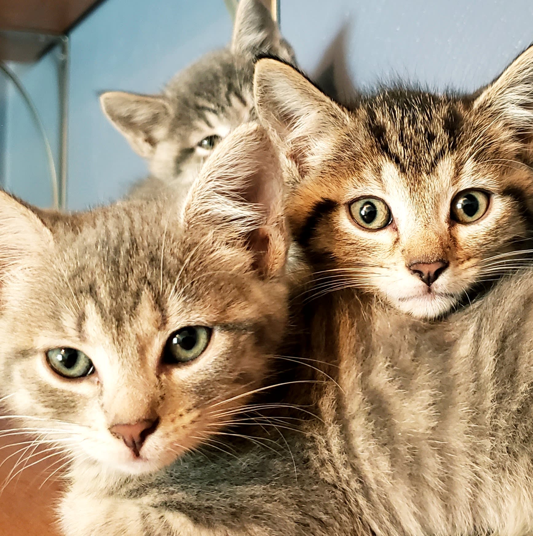 eecdc919-cfbc-490c-a283-