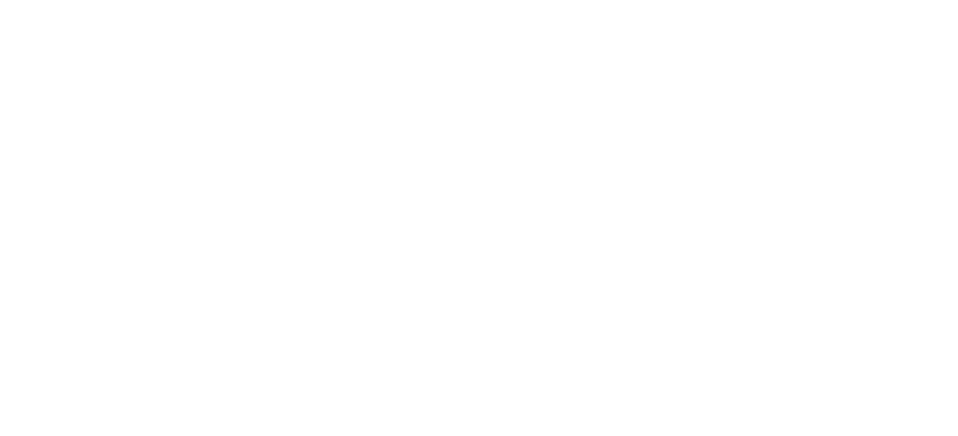 Trademile Logistics