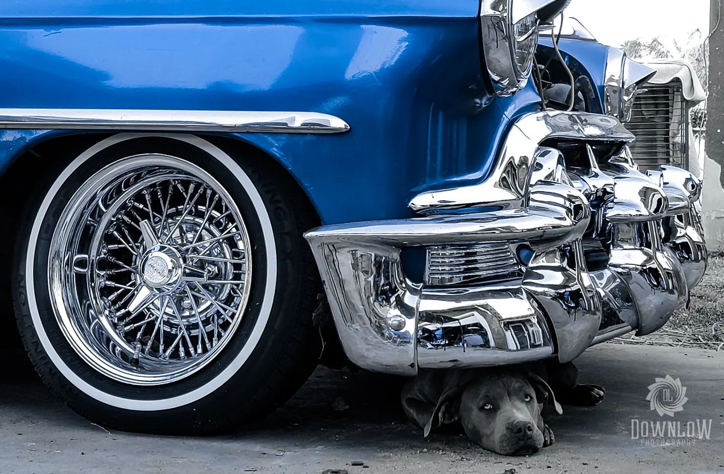 【絶版】 '53 Chevy Lowrider 1953 シボレー シェビー 1953 Chevrolet - Lowriders - Down Low Photography | Inland