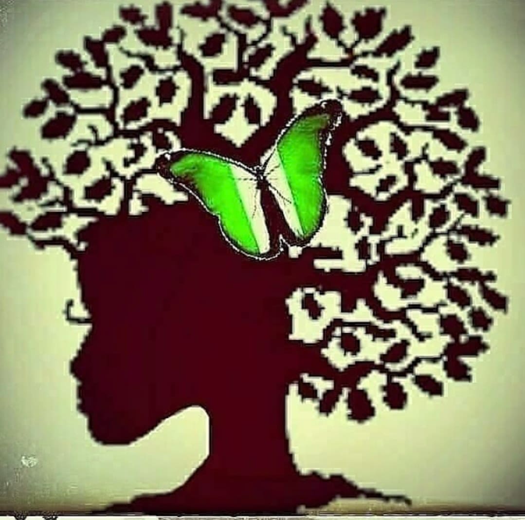 Naija Roots™️ Natural Hair & Skin, LLC