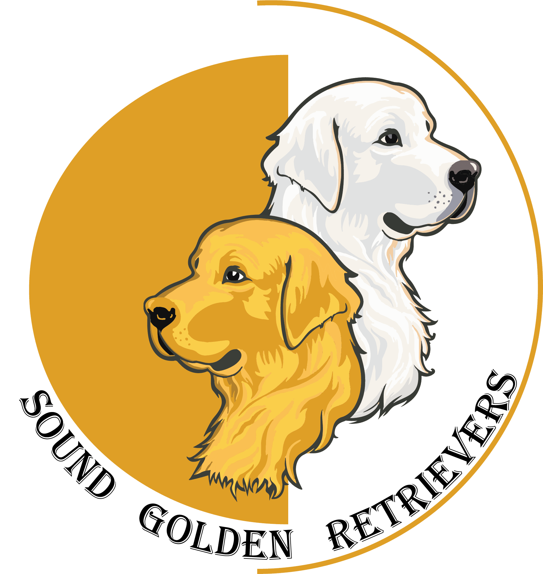 Sound Golden Retrievers