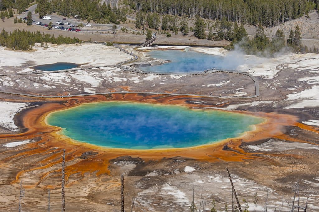 Private Tour of Yellowstone | Experience Yellowstone Tours | Cody, WY