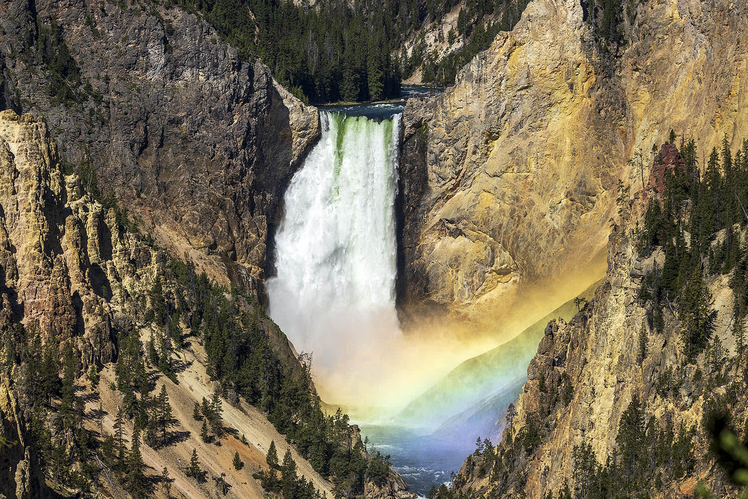 Experience Yellowstone Tours