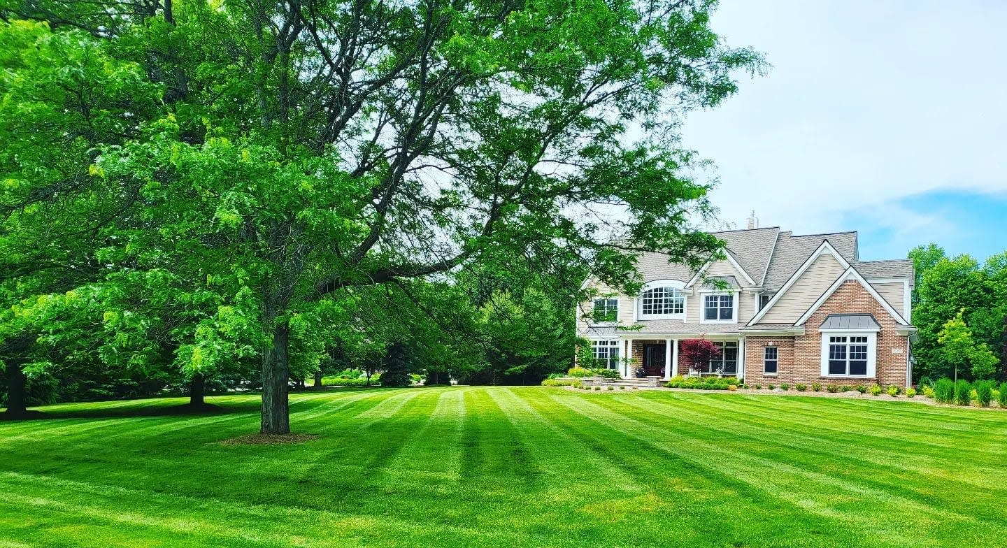 A Cut Above Lawn Care LLC Landscaping Services Ypsilanti