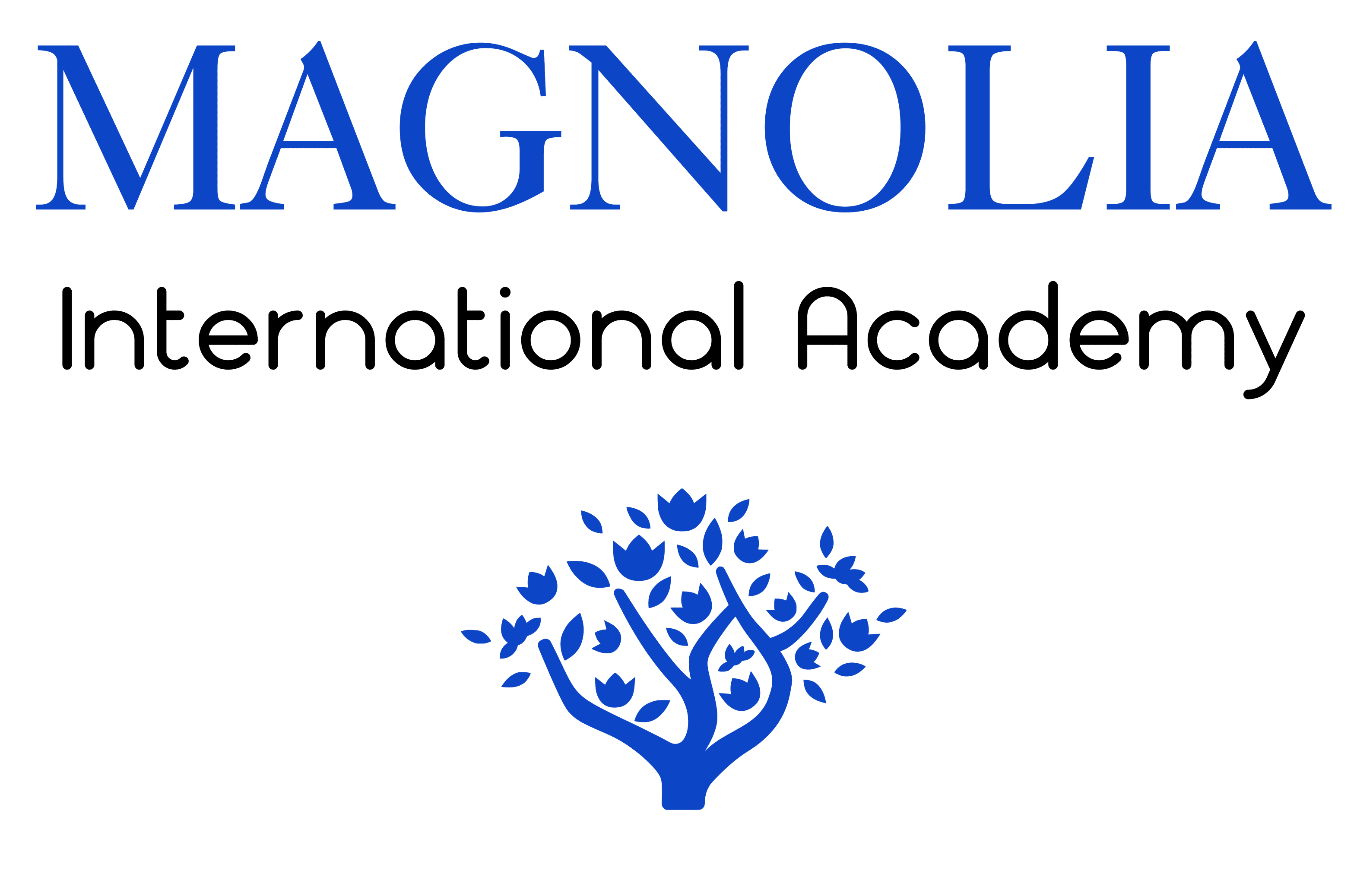 Magnolia International Academy, Inc.