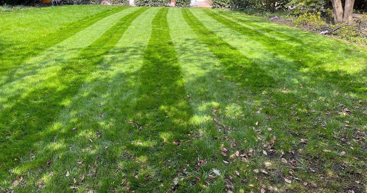 Grass Cutting includes waste removal small Grass Cutting A Blossom of Colour Garden