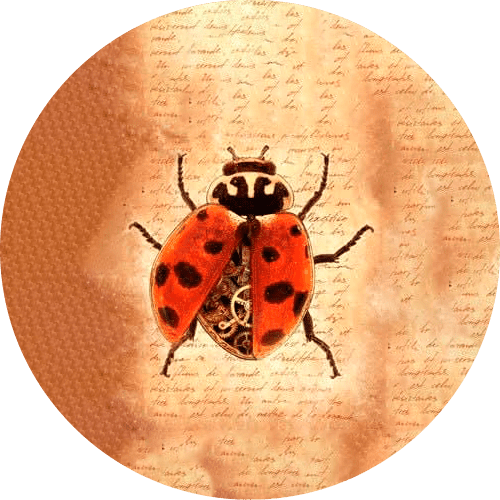 Ladybug Vintage Art