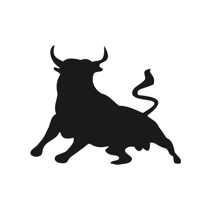 7 Bulls Transport LLC