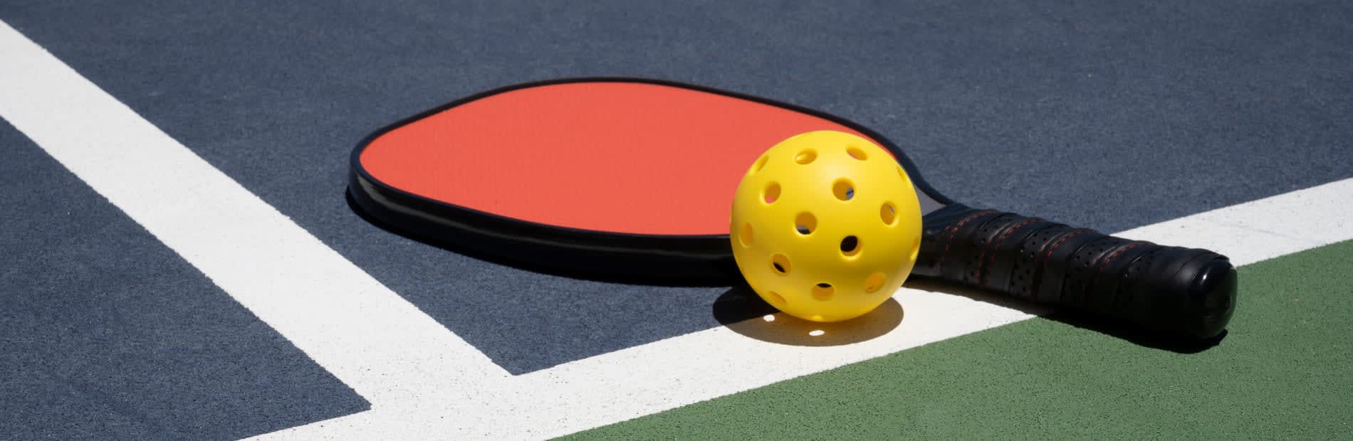 Free Pickle Ball Lessons Free Lessons Online in The Villages