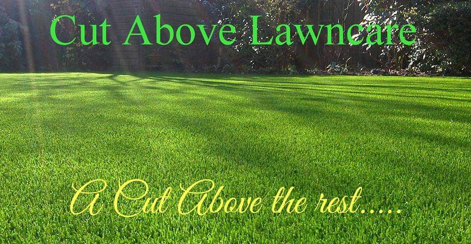 Cut Above Lawncare