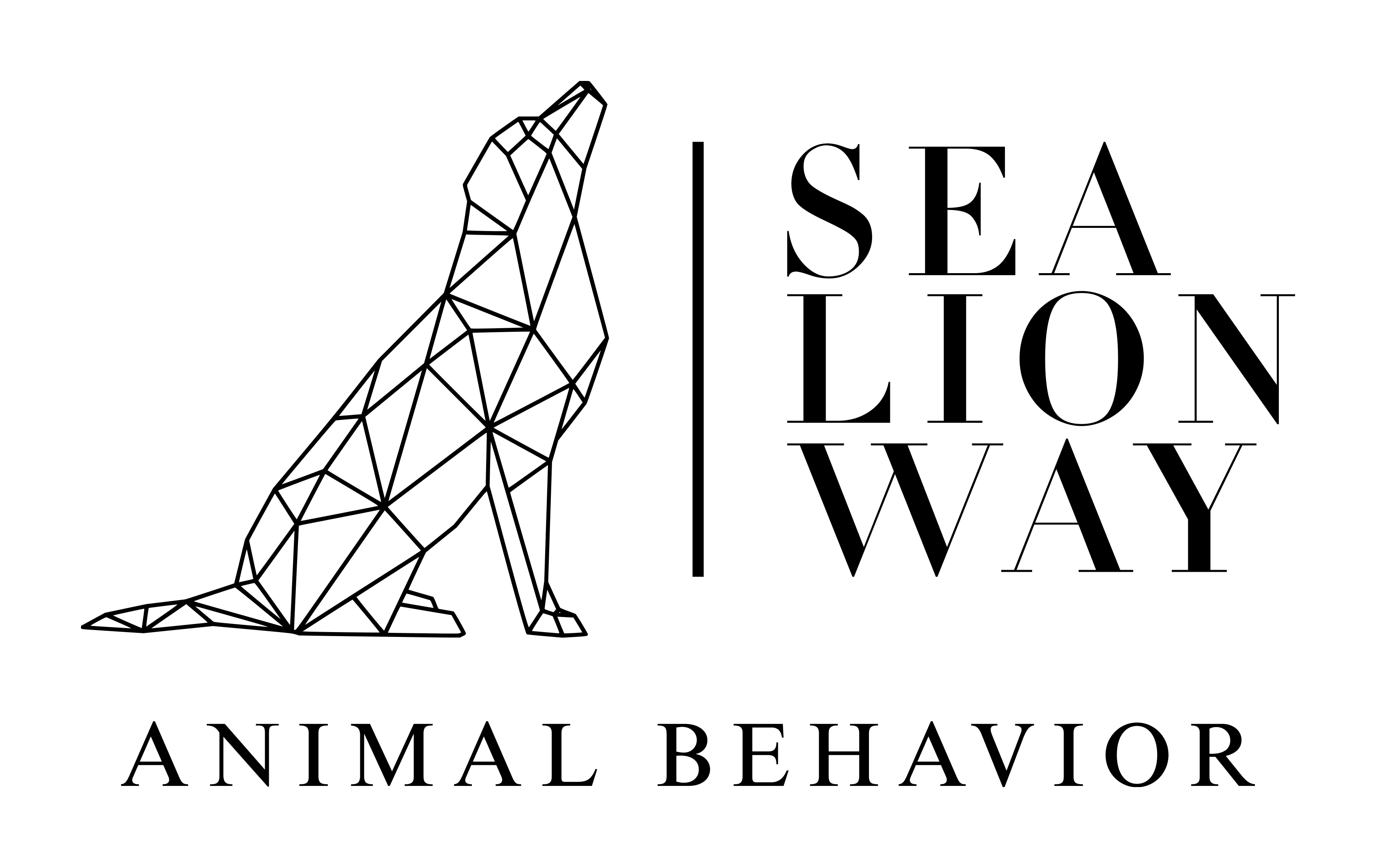 Sea Lion Way, LLC