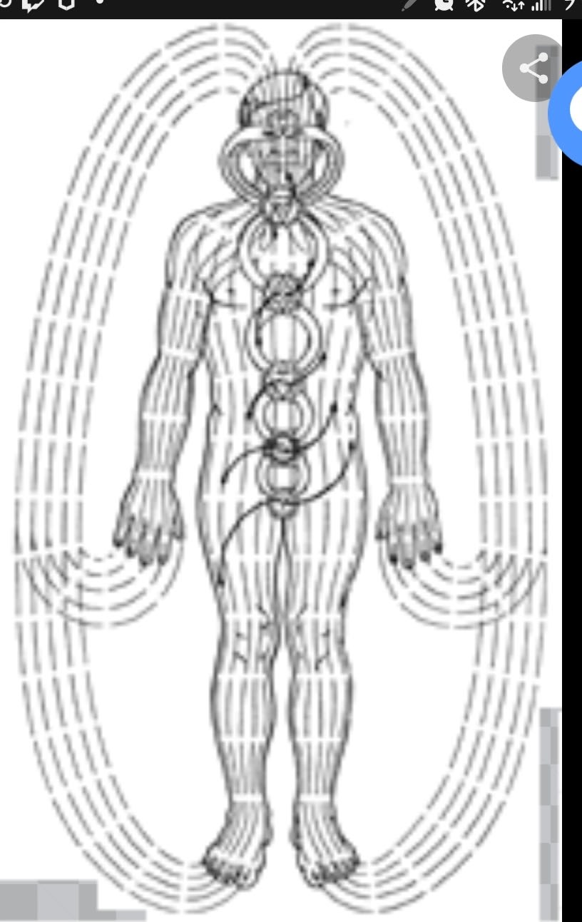 Baraka Therapy & Healing