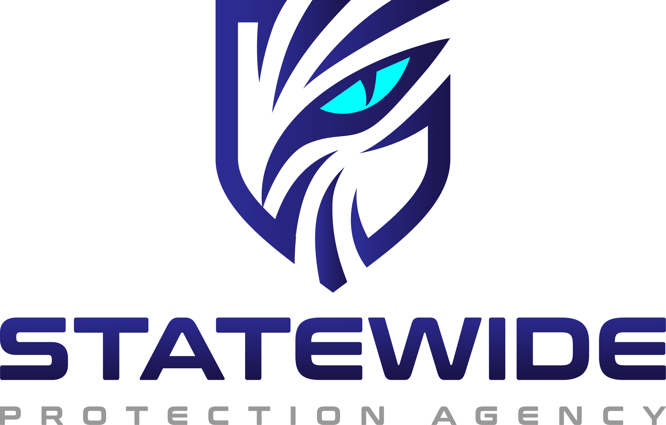 Statewide Protection Agency