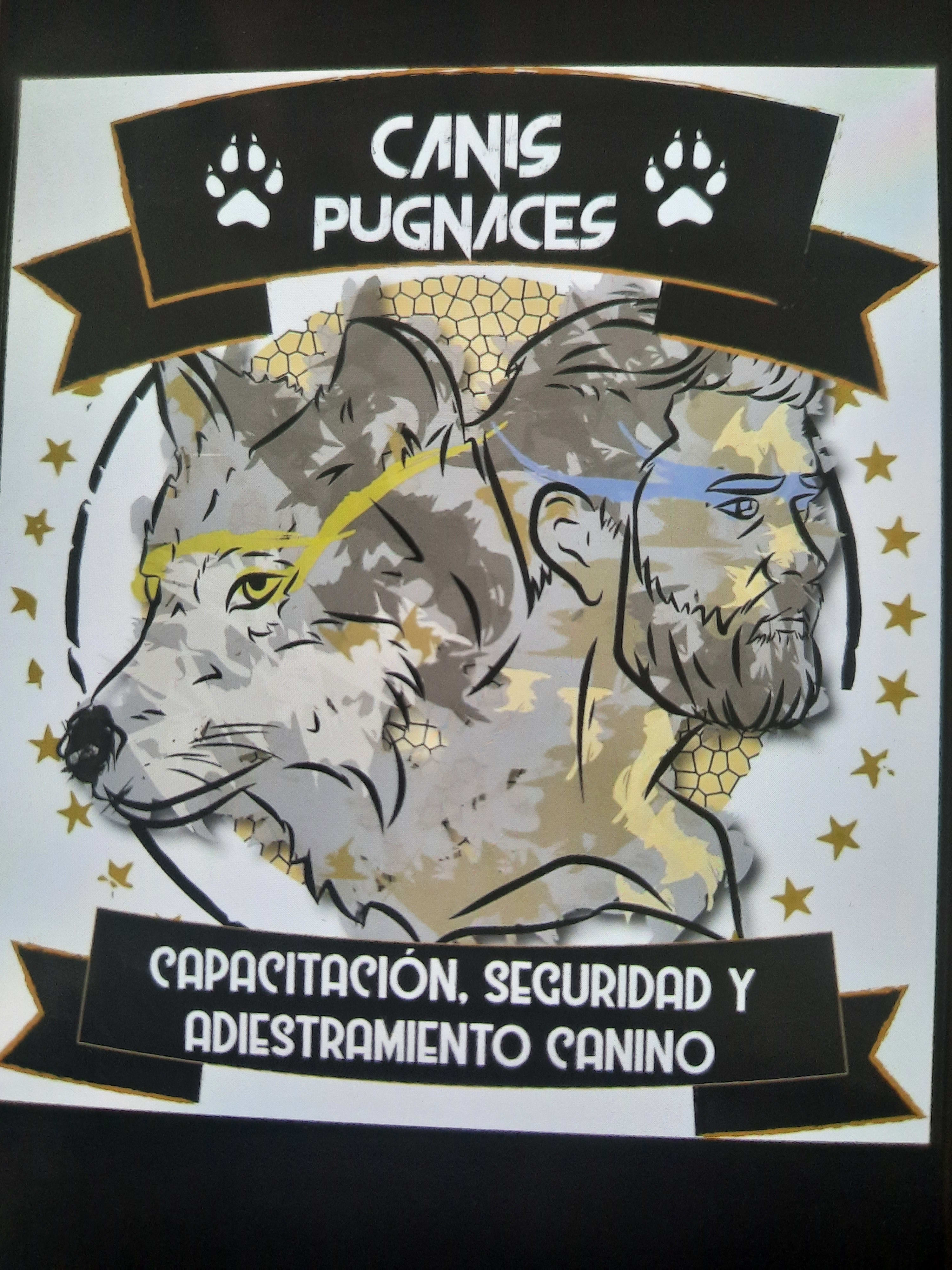 Canis Pugnaces