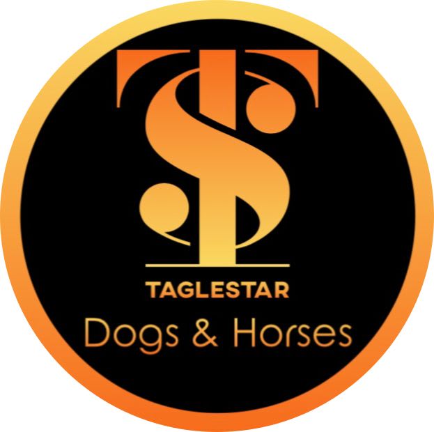 Taglestar's Sport Horses