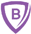 Brandeis Insurance