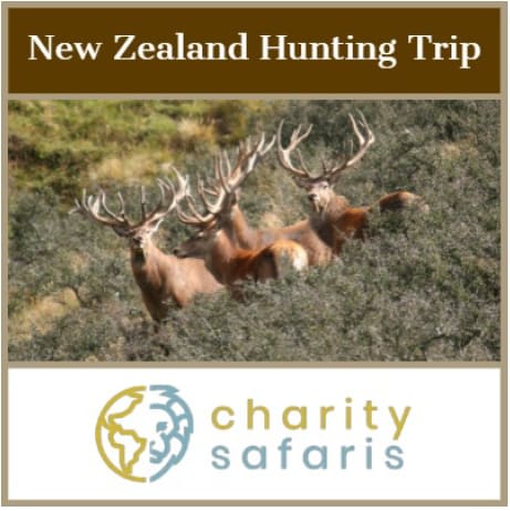 hunting safaris new zealand