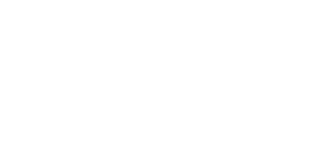 Hair Fair