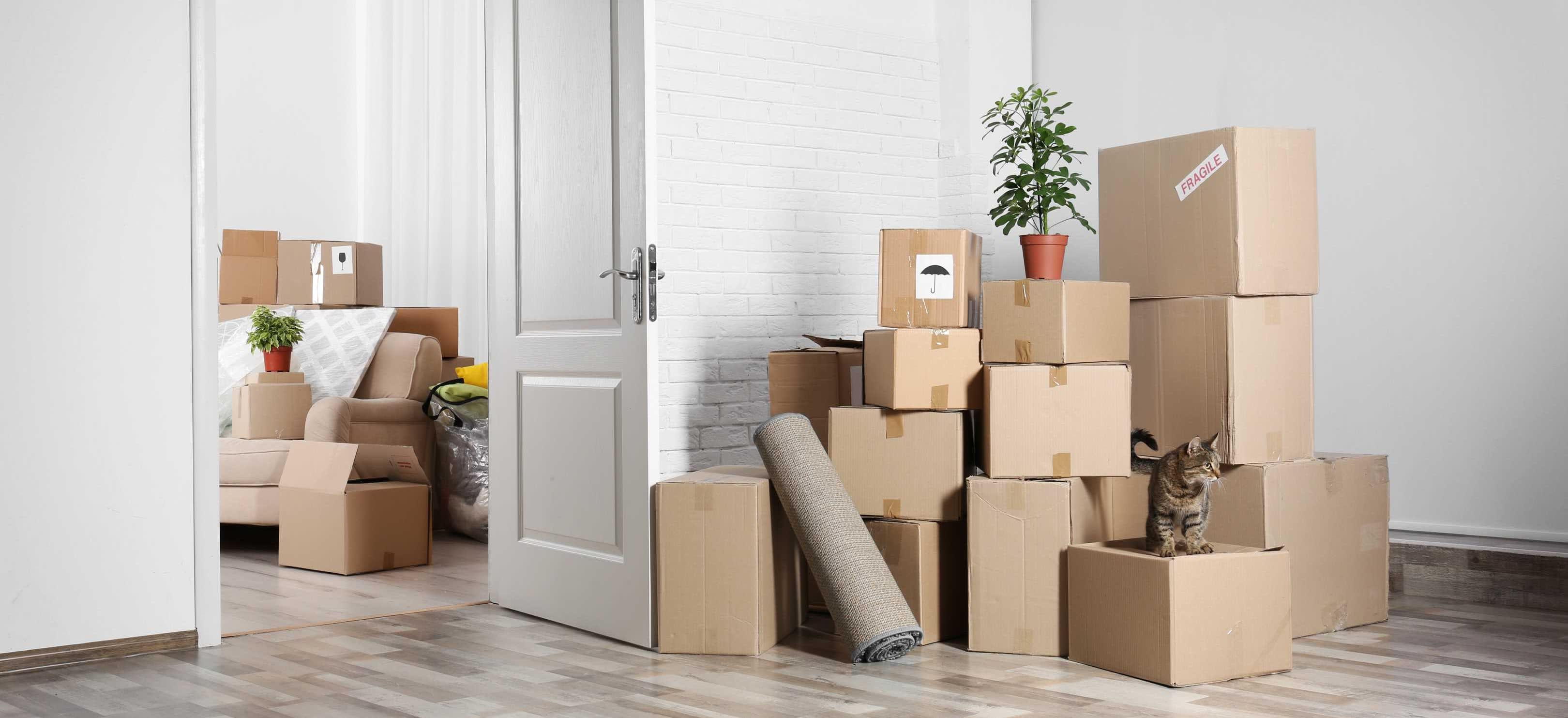 E&M Budget Movers LLC Household Goods Moving in