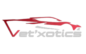 Exotic Car Rentals