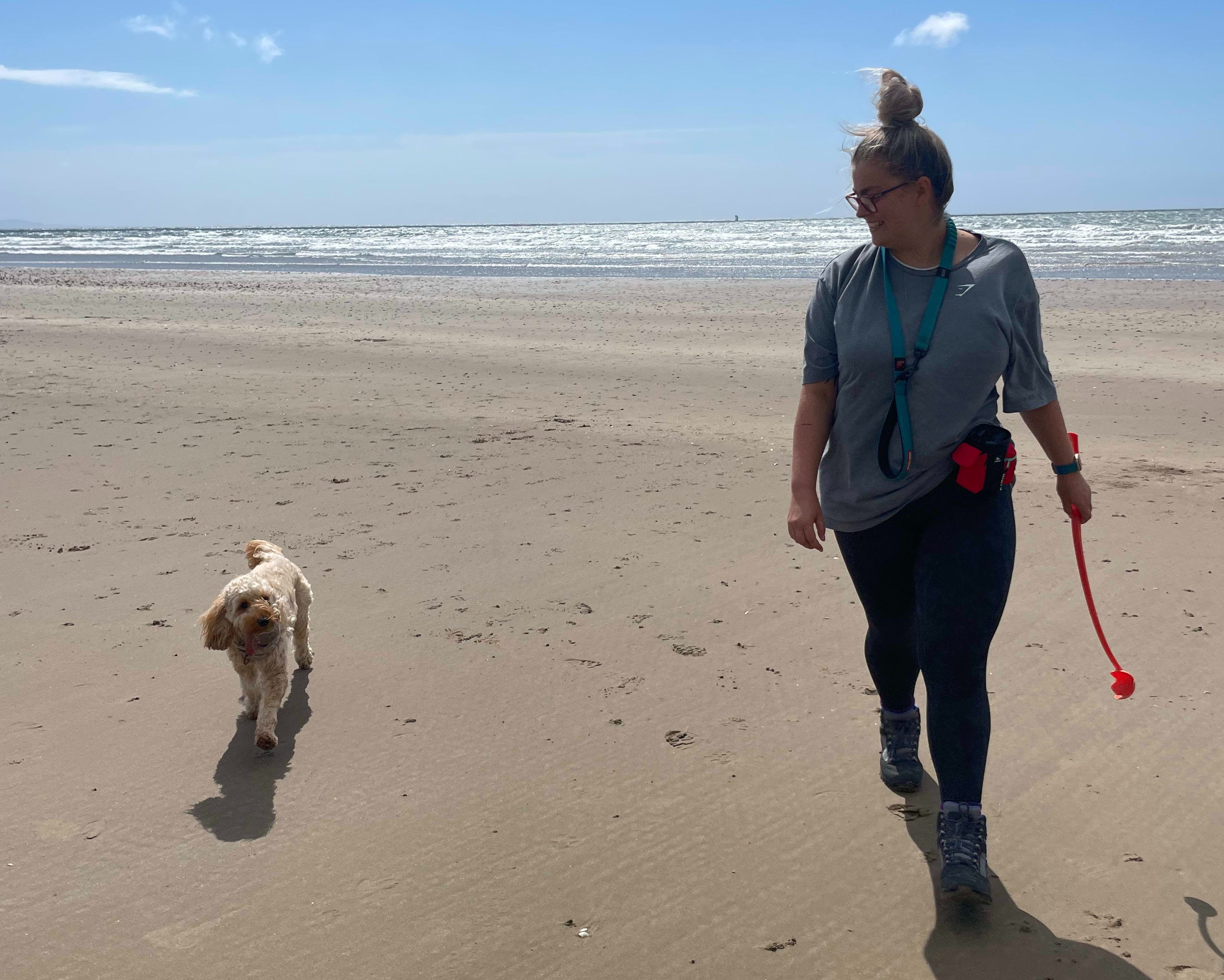 what beaches can dogs go on in swansea