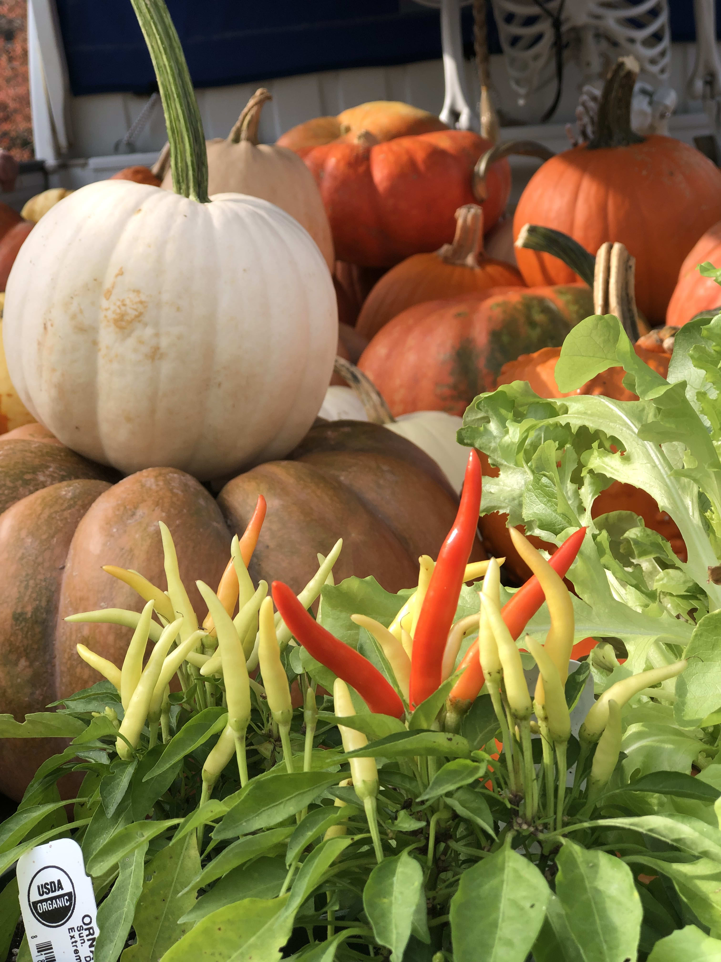 Beans & Sprouts Coffee Bean Shop in Graham, NC
