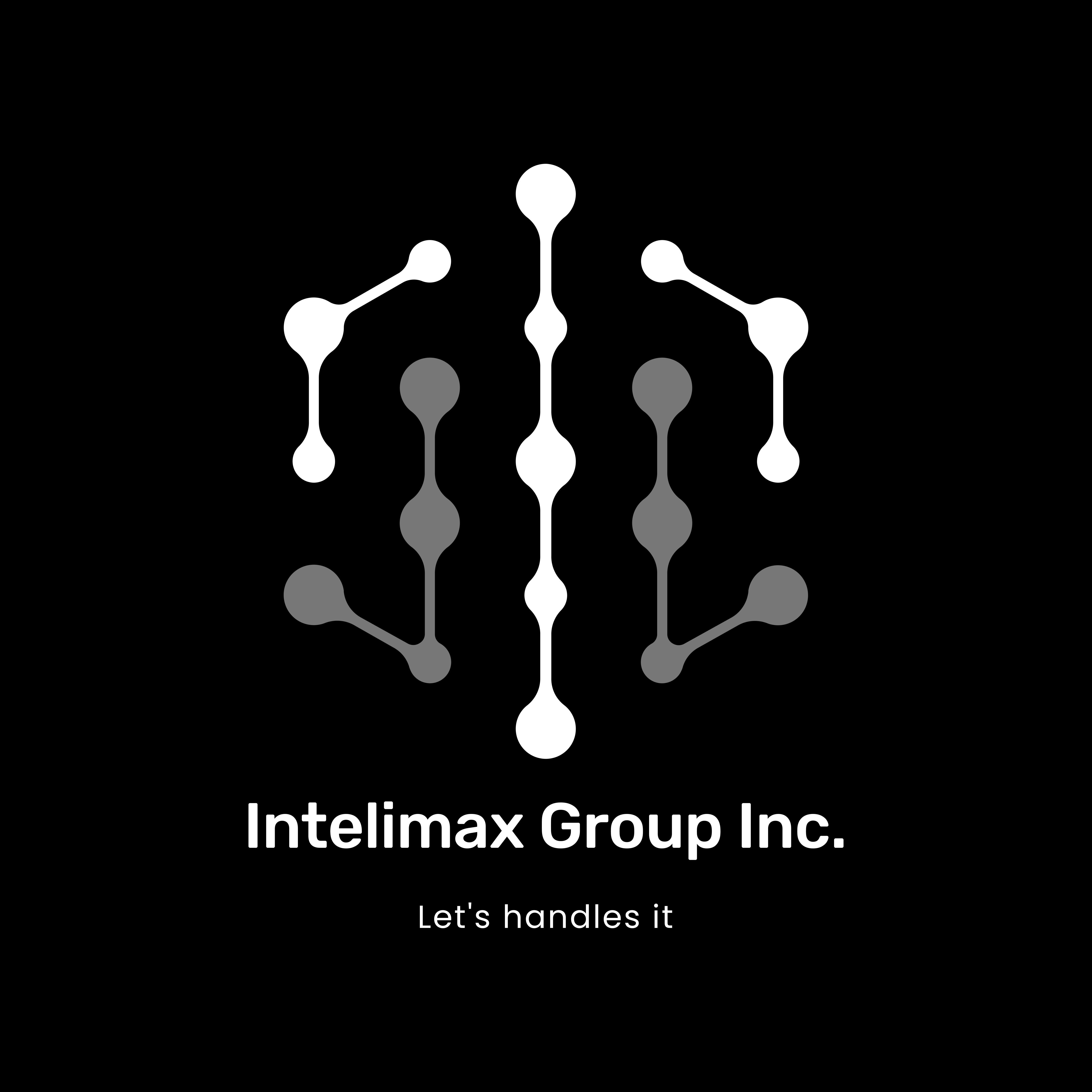 Intelimax Group Inc
