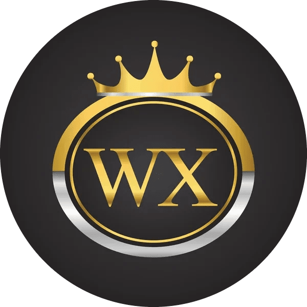 Wx Mobile Auto Detailing