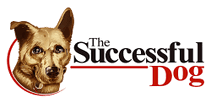 The Successful Dog