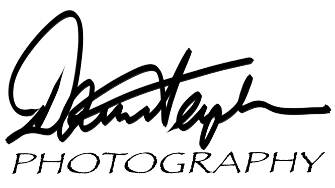 Dariusz Terepka Photography